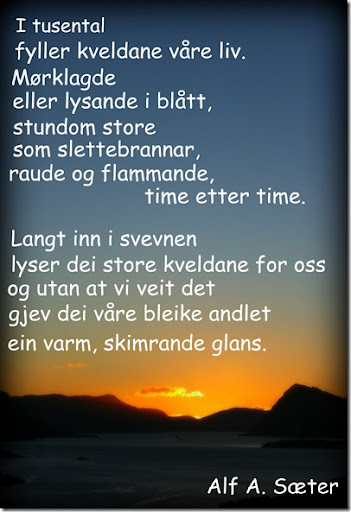 dikt til storebror dikt til storebror